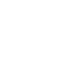 toshiba_WHITE